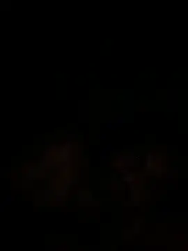 Snapshot of islandvybee55 chatting on December 2024 09:47:02 AM islandvybee55 online show from December 2024 09:47:02 AM