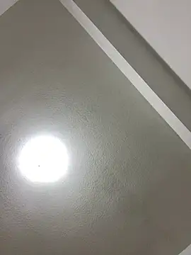 Snapshot of islandvybee55 chatting on January 2025 08:00:01 AM islandvybee55 online show from January 2025 08:00:01 AM