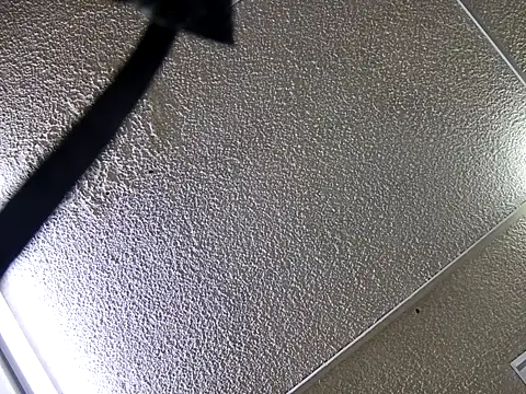 yajahil online show from November 2025 07:38:01 PM