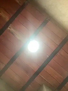 MollySanders    online show from December 2025 10:59:02 PM