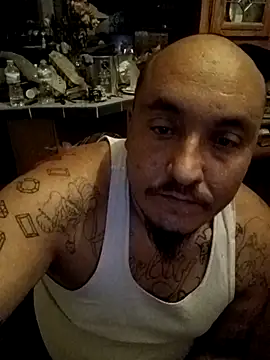 wilsons12 online show from November 2025 08:39:02 AM