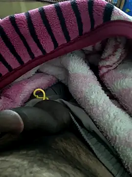 yaradayar online show from January 2026 04:33:02 PM