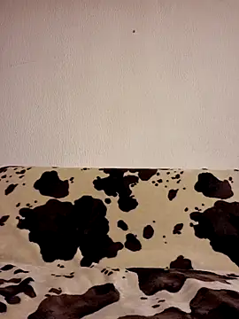 Zgodanilep online show from September 2025 10:05:01 AM