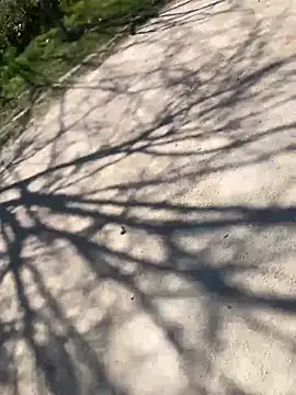 Lucascacaca online show from March 2026 01:05:02 PM