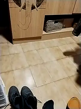 minitranca online show from October 2025 08:22:02 PM