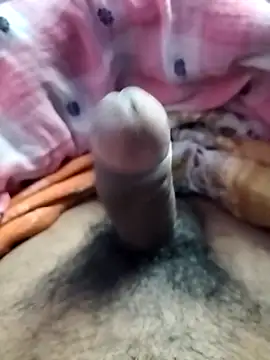 Snapshot of dick_01728 chatting on December 2024 06:09:02 PM dick 01728 online show from December 2024 06:09:02 PM