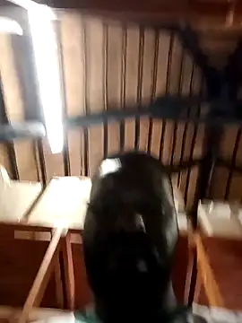 Touch mysoul online show from October 2025 08:09:01 AM