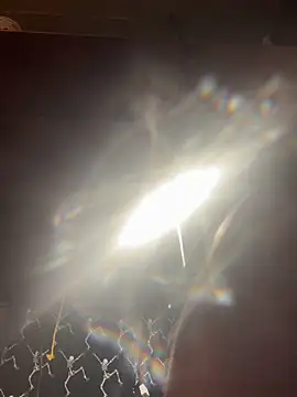 mascmo88 online show from January 2026 11:52:02 PM