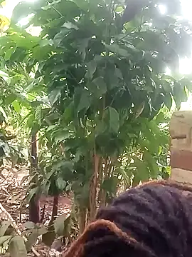 Black juicy24 online show from January 2025 12:01:01 PM