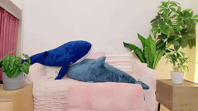 cohaku 329 online show from January 2025 01:13:01 PM