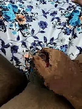 Mallu Curator online show from November 2025 01:31:01 PM