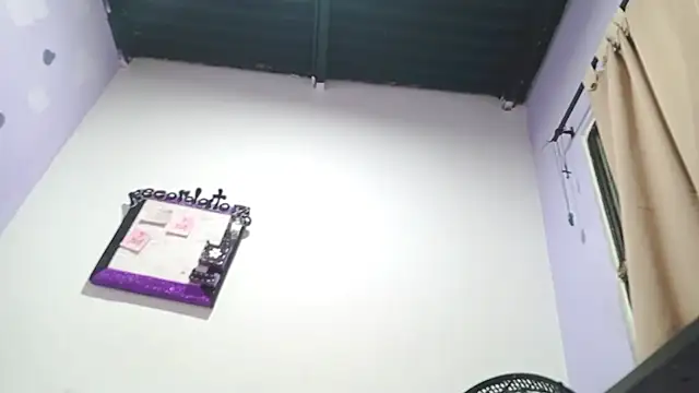 PetiteIvoryQueen19 online show from December 2024 04:15:02 AM