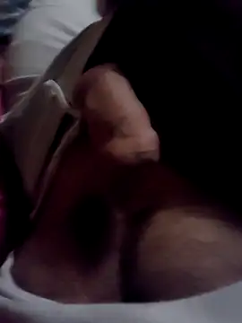 Snapshot of Camilo-31RI chatting on February 2026 08:53:01 PM Camilo-31RI online show from February 2026 08:53:01 PM