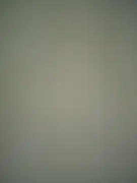 ScarletVelvetX online show from February 2026 03:07:01 AM