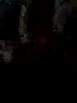 pintuS40 online show from September 2025 02:22:02 AM