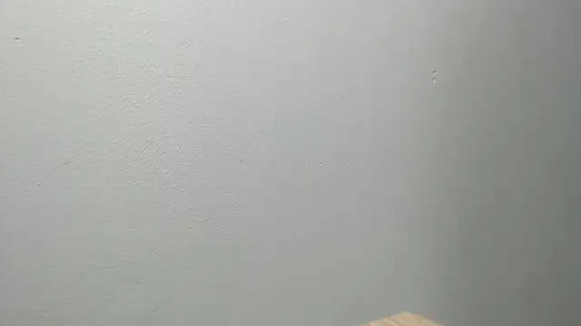 sussy leon online show from February 2025 11:55:01 AM