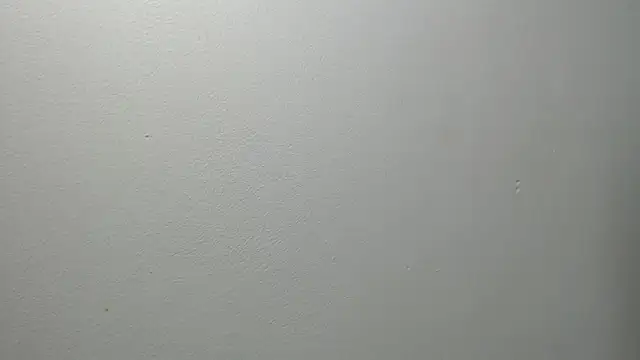 sussy leon online show from February 2025 12:34:01 PM