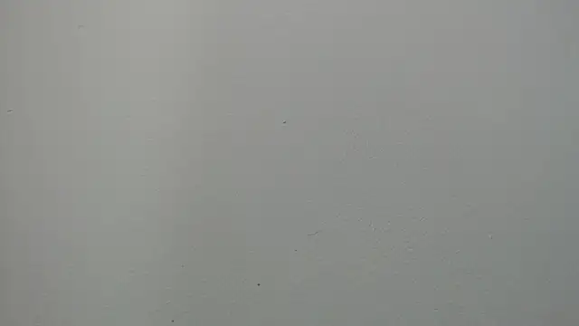 sussy leon online show from March 2025 01:02:01 PM