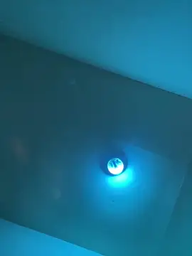 Snapshot of RodeMud chatting on March 2026 07:31:01 PM RodeMud online show from March 2026 07:31:01 PM