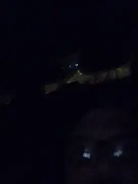 Snapshot of Watson4U chatting on December 2024 06:27:02 PM Watson4U online show from December 2024 06:27:02 PM