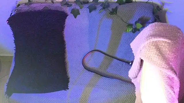 Alahia7demon online show from February 2026 02:04:01 AM