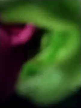 heartless  95 online show from March 2025 06:47:02 AM