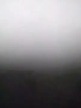 heartless  95 online show from February 2026 03:36:02 AM