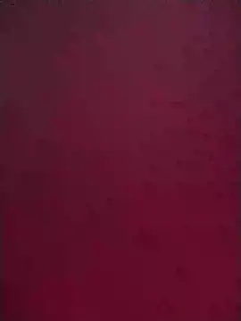 Norve26 online show from February 2025 01:08:02 PM