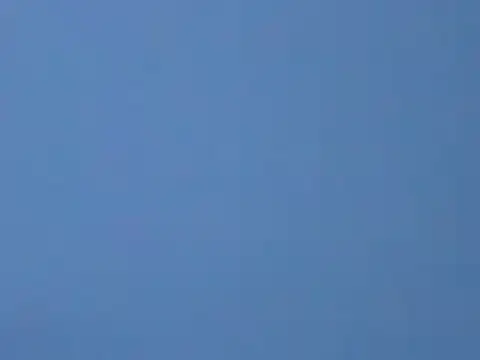 ToonyDee online show from January 2025 05:55:01 AM