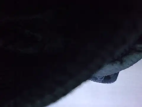 exmilitary online show from February 2026 12:58:02 PM