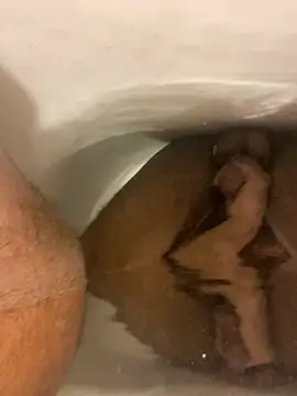 SensualG300 online show from January 2026 03:00:02 AM