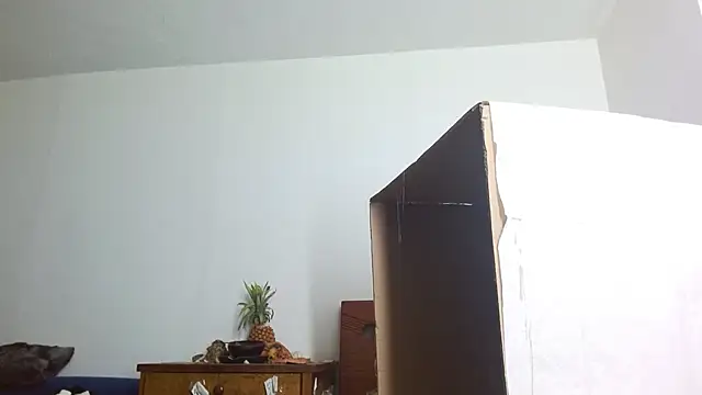 Snapshot of Party_trans chatting on December 2024 10:39:02 PM Party trans online show from December 2024 10:39:02 PM