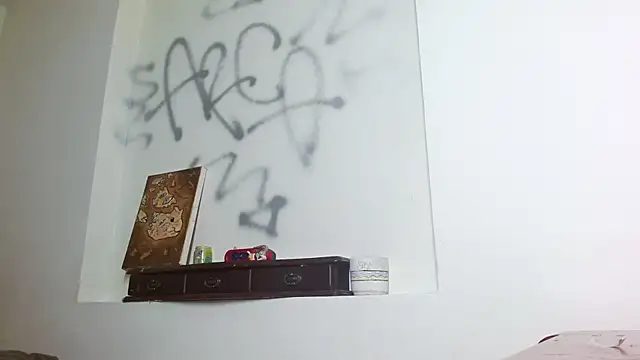 Snapshot of Party_trans chatting on December 2024 08:05:02 PM Party trans online show from December 2024 08:05:02 PM