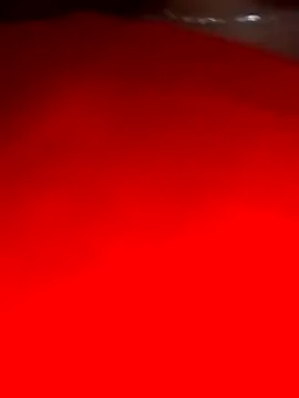 sara pineros online show from December 2024 12:04:01 AM