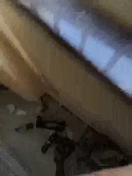 HammeryourVagina online show from June 2026 09:00:02 AM