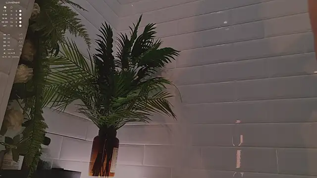 Snapshot of MichaellaMoon chatting on December 2025 02:15:01 PM MichaellaMoon online show from December 2025 02:15:01 PM