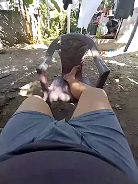 Whiper2024 online show from February 2026 08:29:01 PM