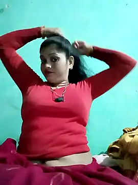 Chandni online show from February 2025 12:11:02 PM