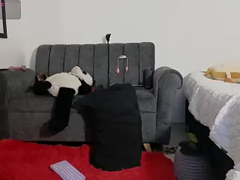 Katt BDSM online show from February 2025 03:14:01 PM