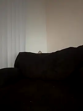 ladylavish online show from December 2025 02:29:01 AM