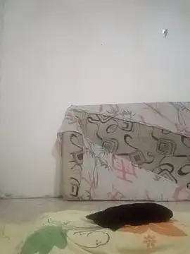 motoboysafd online show from January 2026 07:24:02 AM