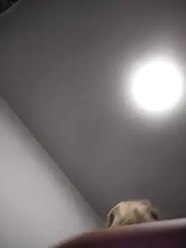 AudreySosa online show from March 2025 08:04:01 AM