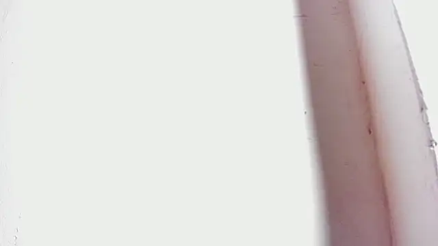 tifany bigdick online show from February 2025 12:43:01 AM