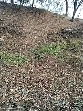 Snapshot of jellydicks chatting on February 2026 11:55:01 AM jellydicks online show from February 2026 11:55:01 AM