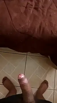 pedritolobito online show from December 2024 12:20:02 PM