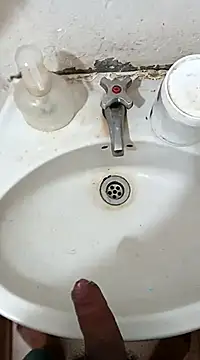 pedritolobito online show from February 2025 11:52:01 AM