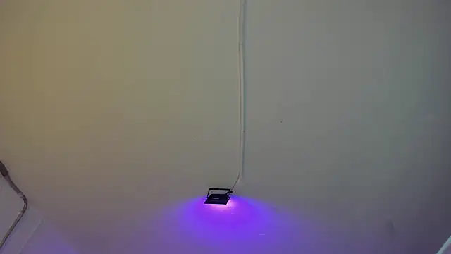 Amy Kiitty  online show from February 2026 01:00:02 PM