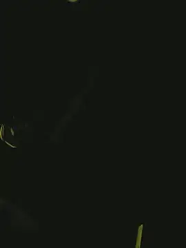 Snapshot of Pressure69mee chatting on March 2025 10:59:01 PM Pressure69mee online show from March 2025 10:59:01 PM