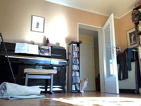 Snapshot of Bula94193 chatting on September 2025 09:45:02 AM Bula94193 online show from September 2025 09:45:02 AM