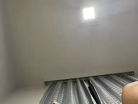 Snapshot of lariic chatting on March 2025 11:27:02 PM lariic online show from March 2025 11:27:02 PM